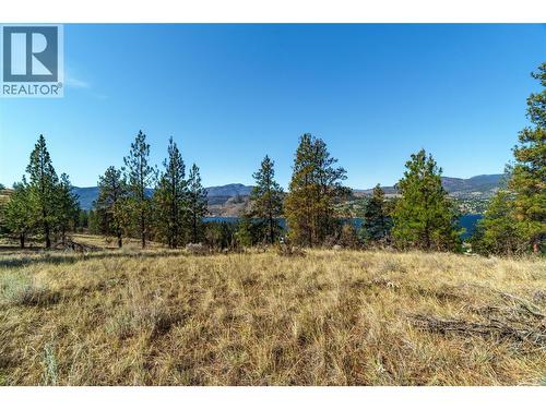 Prpsd Lt 1 47 Street, Okanagan Falls, BC 