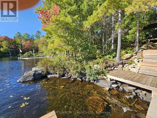 378 Spectacle Lake Road, Madawaska Valley, ON 