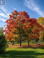 Strathcona Park - 