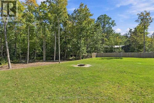 322 Elbow Point Road, Trent Lakes, ON 