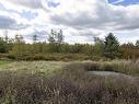 21 Harrison Avenue, Springhill, NS 