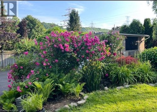 Landscaped garden featuring mature flowering shrubs, diverse plantings, and manicured lawn - 154 Ewen Road, Hamilton, ON 