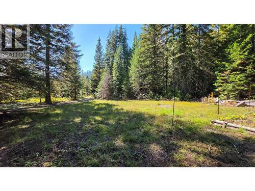 113 Wesco Road, Ymir, BC 