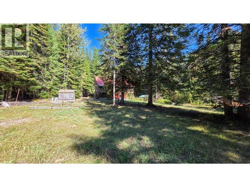 113 Wesco Road, Ymir, BC 