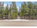 51 Pringle Road, Beaverdell, BC 