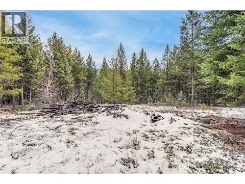 51 Pringle Road, Beaverdell, BC 