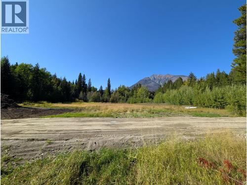 5745 Gun Lake Road W, Gold Bridge, BC 