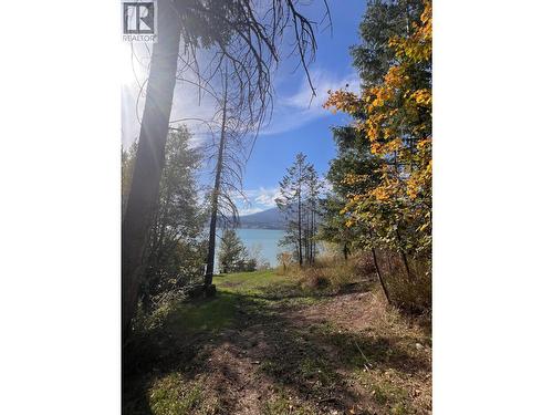 8427 Grainger Road, Canal Flats, BC 