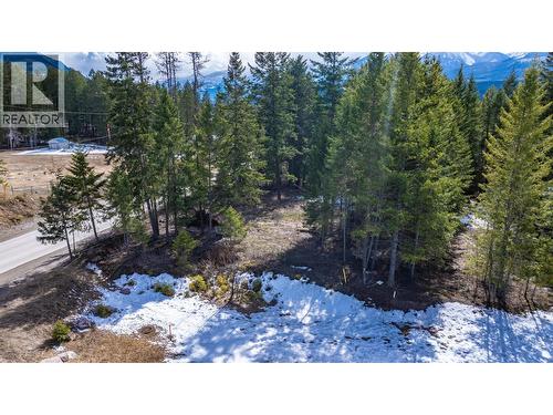 1400 Pine Drive, Golden, BC 