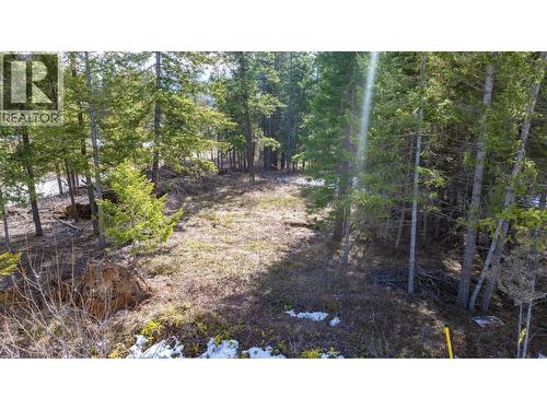 1400 Pine Drive, Golden, BC 
