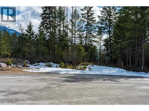 1400 Pine Drive, Golden, BC 