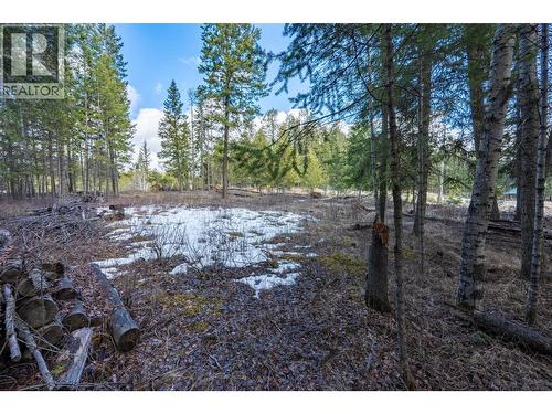 1400 Pine Drive, Golden, BC 