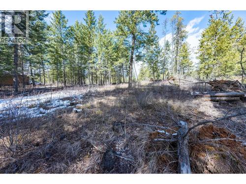 1400 Pine Drive, Golden, BC 