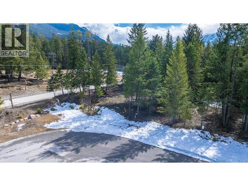 1400 Pine Drive, Golden, BC 