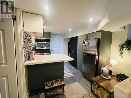 LOWER - 263 GRACE STREET , Toronto, Ontario M6G 3A7 5