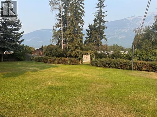 Back yard - 903 Ryter Road W, Nicholson, BC 