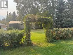 Back yard - 