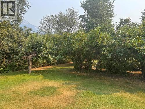 Back yard - 903 Ryter Road W, Nicholson, BC 