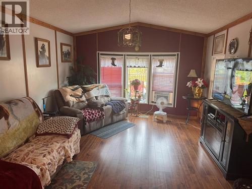 Living Room - 903 Ryter Road W, Nicholson, BC 
