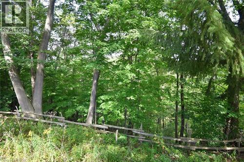 Wood split-rail fence bordering a densely wooded area with mature trees - 781 Oakdale Avenue, Burlington, ON 