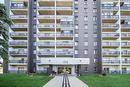 803 175 Pulberry Street, Winnipeg, MB 