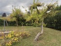 532 Buller St, Ladysmith, BC 