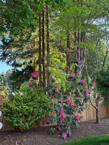 164 Crescent Rd East, Qualicum Beach, BC 