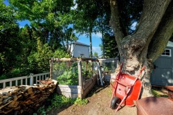 Jardin - 