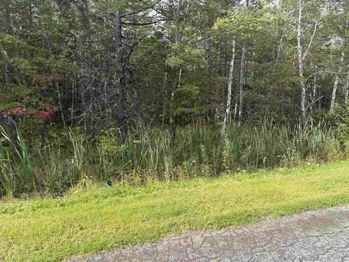 Schaller Drive, Sydney Forks, NS 
