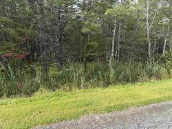 schaller Drive Sydney Forks, NS B1L 1A1