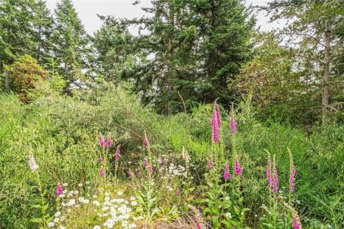 5000 Sooke Hanger Dr, Sooke, BC 