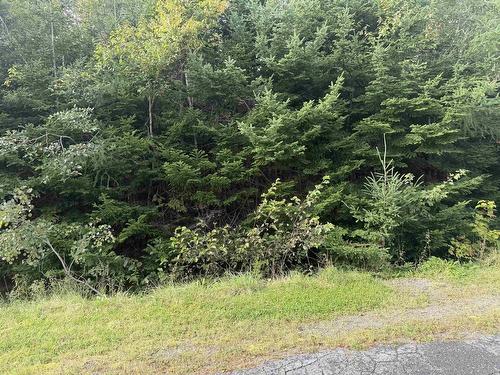 Lot 11 Schaller Drive, Sydney Forks, NS 