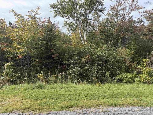 Schaller Drive, Sydney Forks, NS 