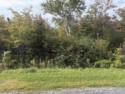 SCHALLER Drive Sydney Forks, NS B1L 1A1