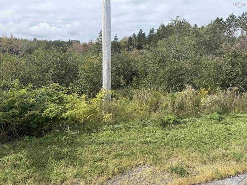 Lot 12 Schaller Drive, Sydney Forks, NS 