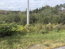 LOT 12 SCHALLER Drive Sydney Forks, NS B1L 1A1