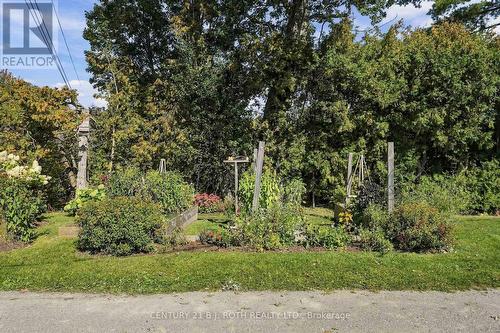 19 Stanley Avenue, Oro-Medonte, ON 