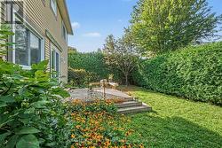 hedged rear yard - 