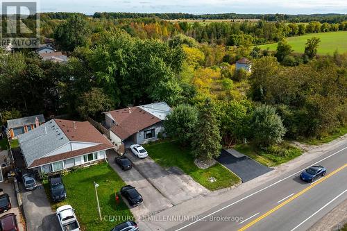 Aerial: lot and tree line - 139 Town Line, Orangeville, ON 