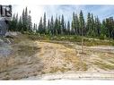185 Snow Mountain Place, Apex Mountain, BC 