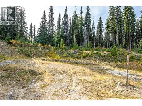 185 Snow Mountain Place, Apex Mountain, BC 