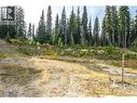 185 Snow Mountain Place, Apex Mountain, BC 