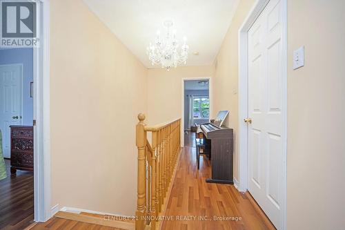 31B - 5865 Dalebrook Crescent, Mississauga, ON 