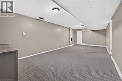 Expansive room featuring wall paneling, ceiling-mounted lighting, and carpet flooring - 