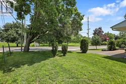 View of the park from side yard - 