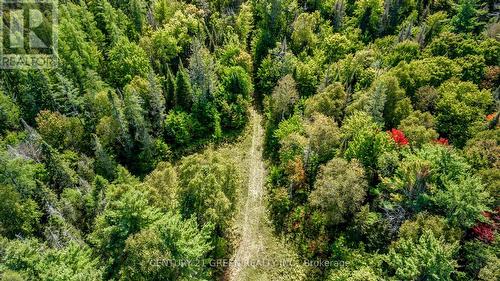 879 Lake Bernard Road S, Sundridge, ON 