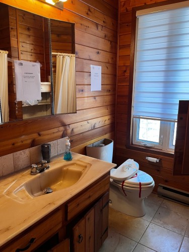 Salle de bains - 2288  - 2290 Rue Théo-Massé, Sainte-Adèle, QC 
