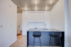 608-3045 Boul. de l'Assomption Montréal (Mercier/Hochelaga-Maisonneuve), QC H1N 0E5