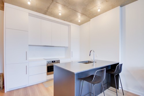 608-3045 Boul. de l'Assomption , Montréal (Mercier/Hochelaga-Maisonneuve), QC H1N 0E5 2