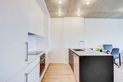 608-3045 Boul. de l'Assomption , Montréal (Mercier/Hochelaga-Maisonneuve), QC H1N 0E5 3